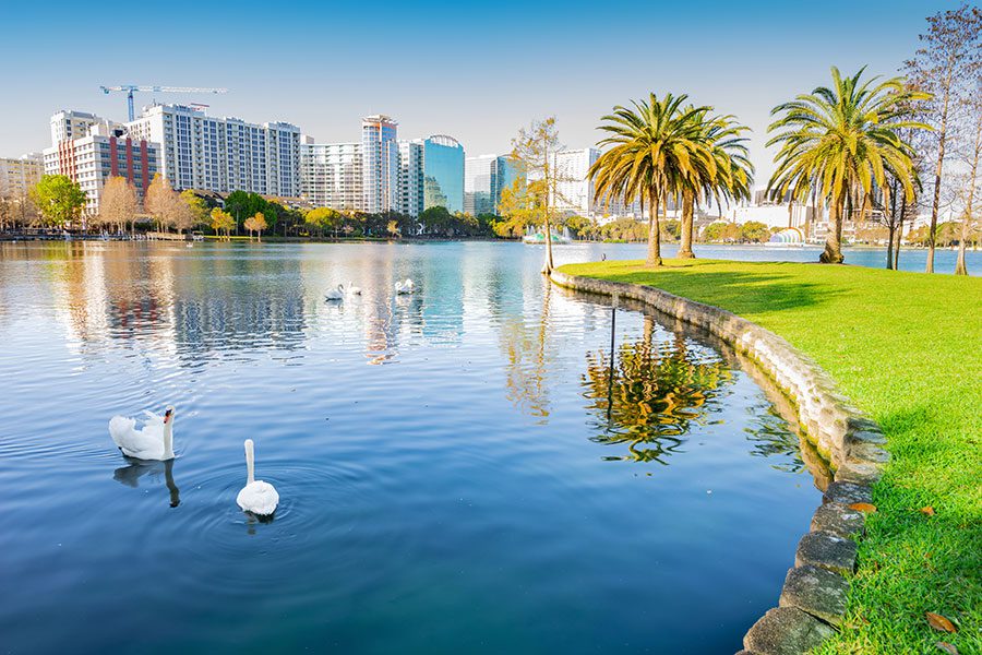 Orlando, FL Insurance - Orlando Florida Skyline with Blue Lake with Swans